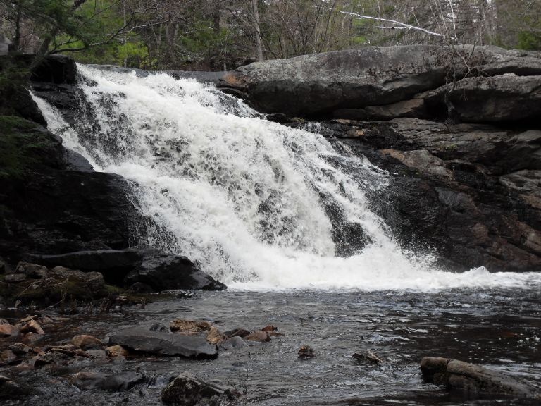 Mont Vernon fishing photo 1