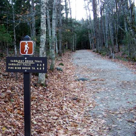 Waterville Valley fishing photo 2