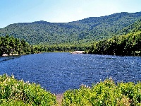 Beaver Pond