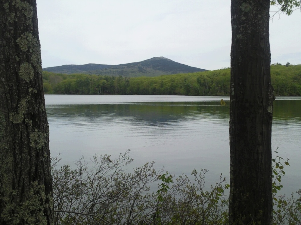 Roxbury fishing photo 3