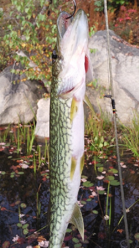 October 6, 2012 - Head's Pond near Hooksett