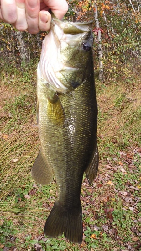 October 6, 2012 - Head's Pond near Hooksett