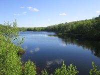 Head's Pond