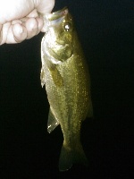 fishing with dad