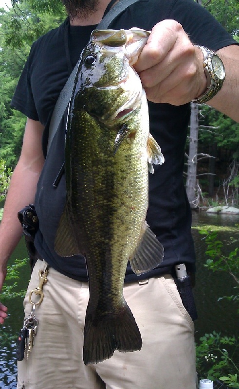 near the dman near Harrisville