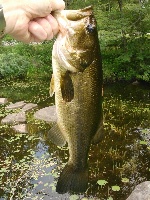 fishing with friends