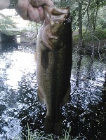 after dinner stop Fishing Report