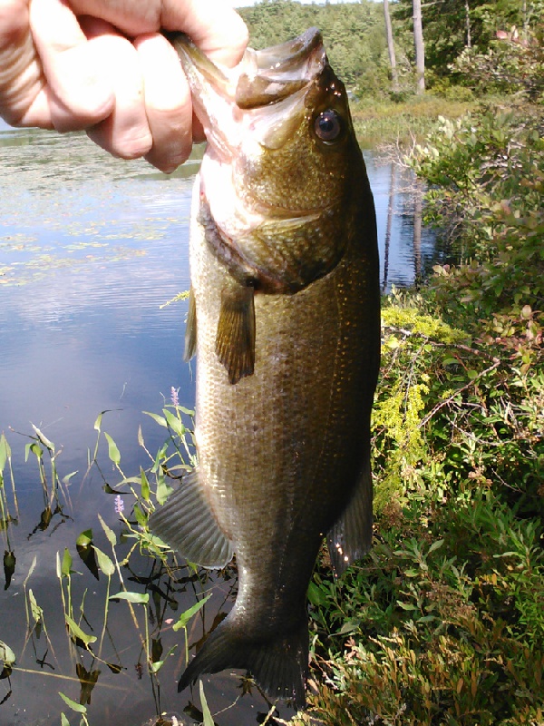 boat launch near Swanzey