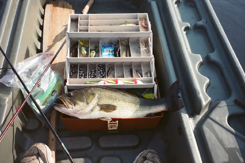 5 lb bass, Raymond NH near Raymond