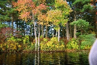 Bear Brook State Park Fishing Report