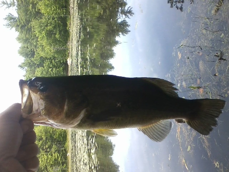 Londonderry fishing photo 2