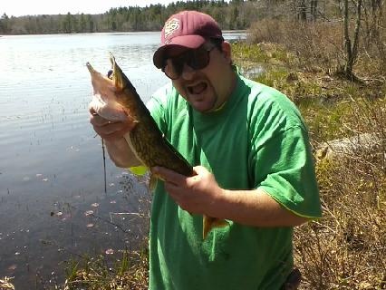 Nice Pickerel near Hampstead