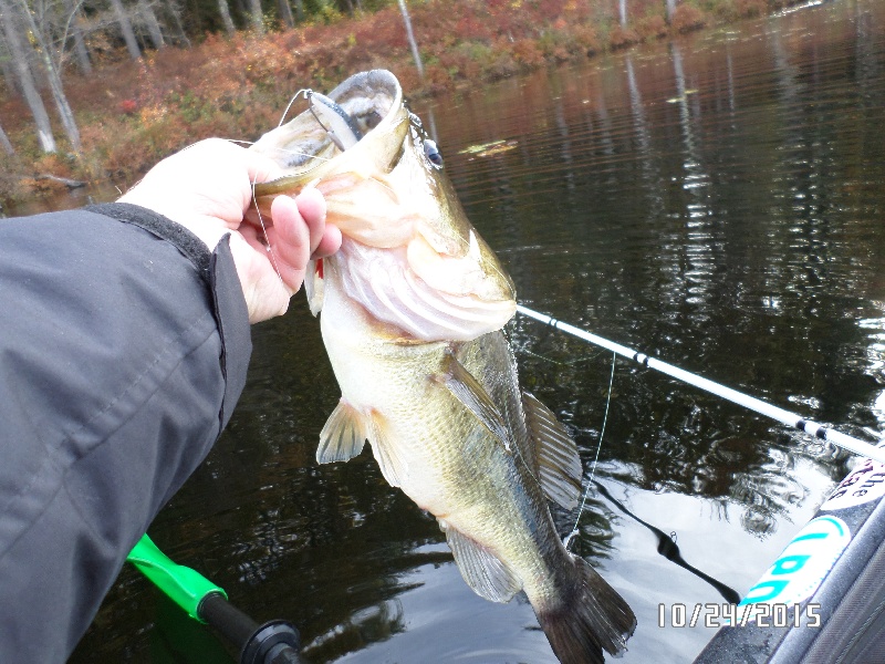 Personal Best Largemouth Bass near Richmond