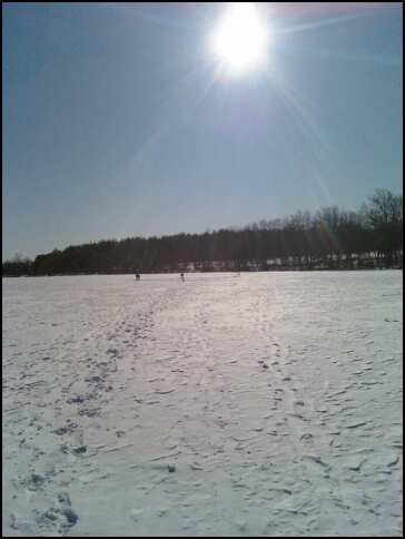 Nutt pond near Manchester