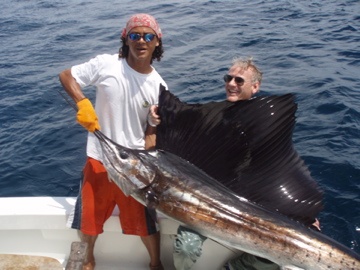 Sailfish