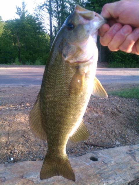 Smallmouth caught off Boatlaunch near Northwood