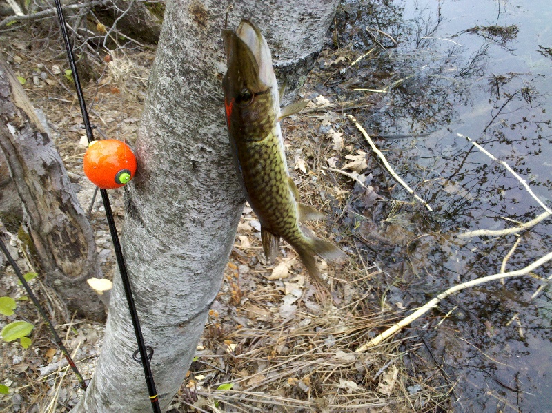 Madison fishing photo 5