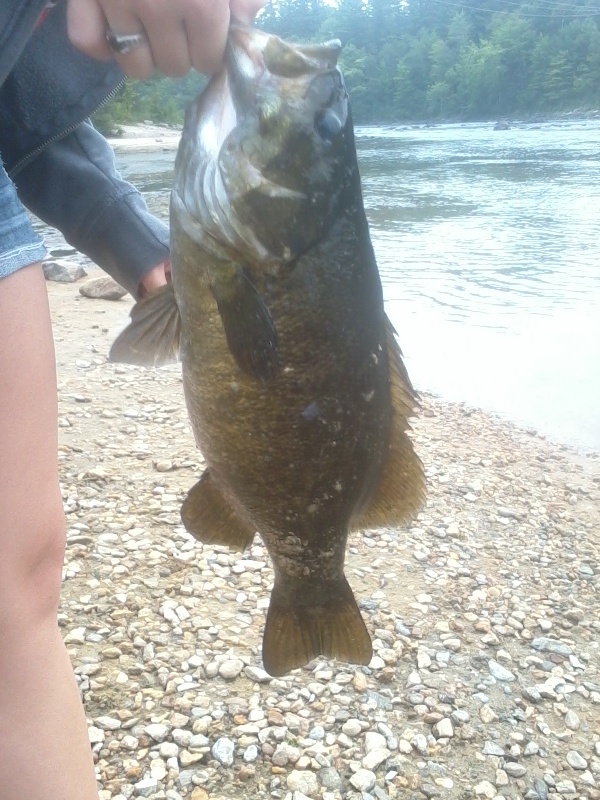 Concord fishing photo 3