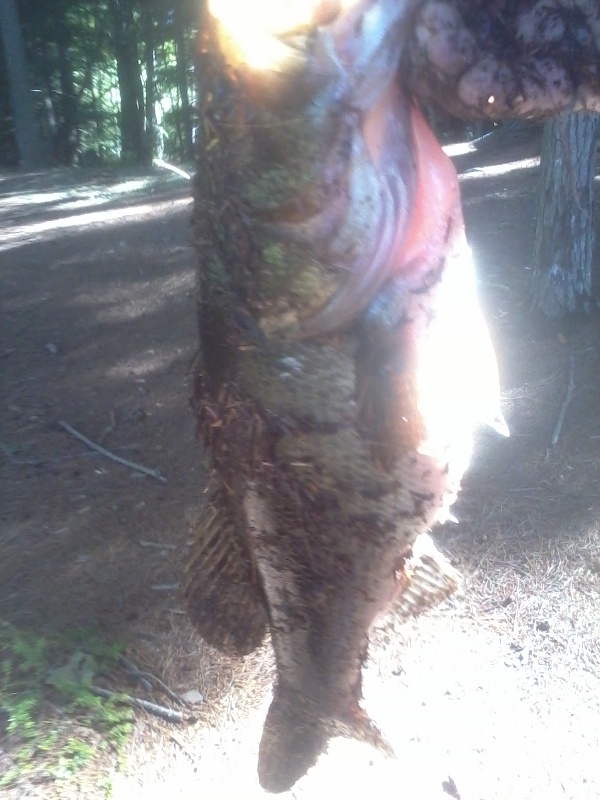 Greenville fishing photo 3