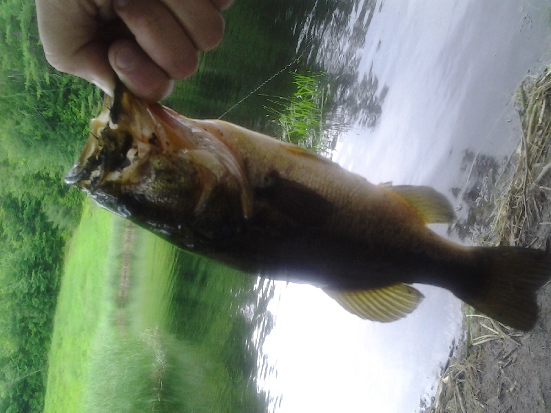 Temple fishing photo 0