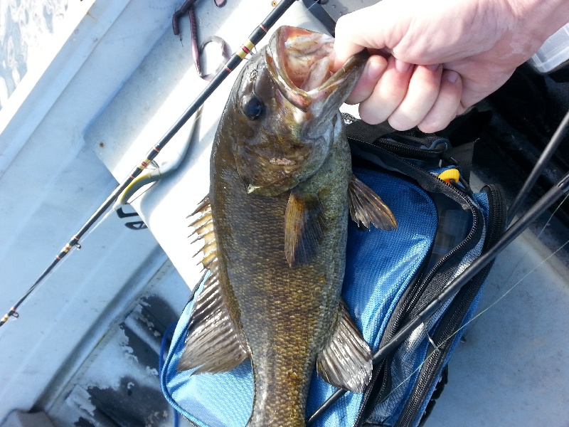 Smallie near Keene