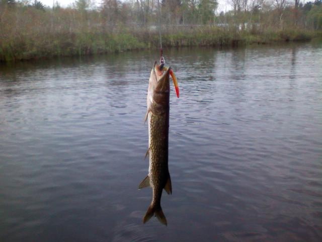 Derry fishing photo 4