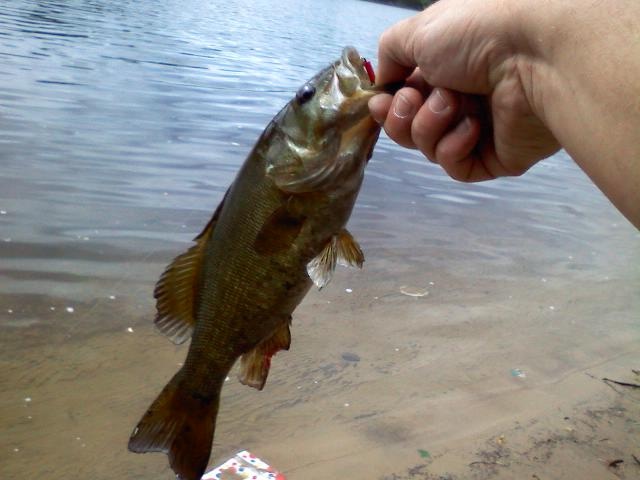 Manchester fishing photo 3