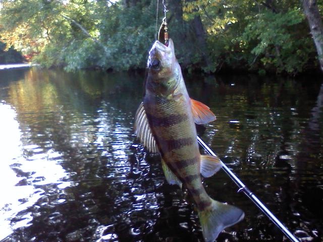 Goffstown fishing photo 2