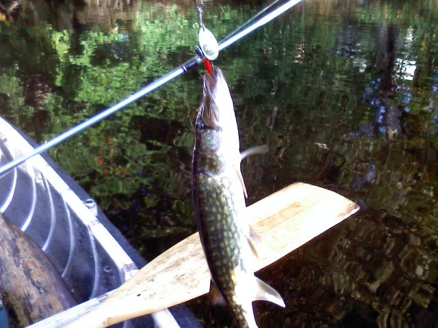 Goffstown fishing photo 4