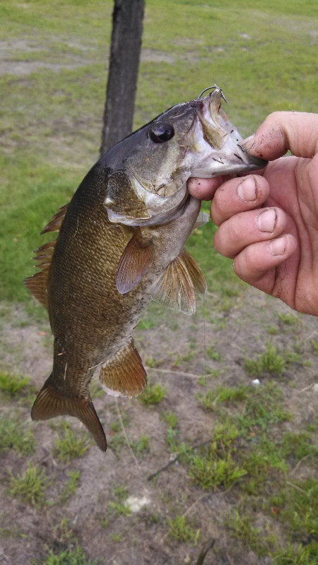 Green's Grant fishing photo 4