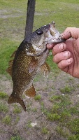 Quick bass stop at the andro, nothing big, but its better than getting skunked!!! 