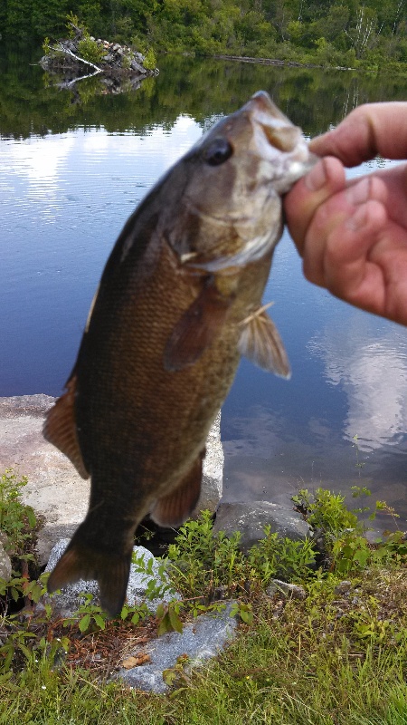 Gorham fishing photo 2