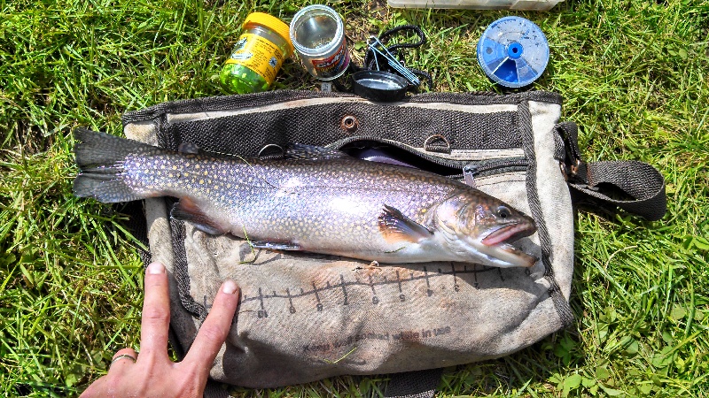 Crawford's Purchase fishing photo 1