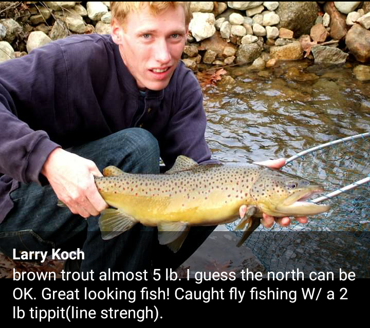 Swanzey fishing photo 1