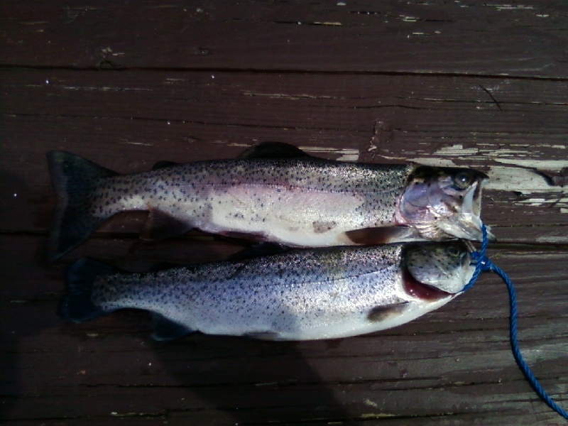 Right Before Lunch near Peterborough