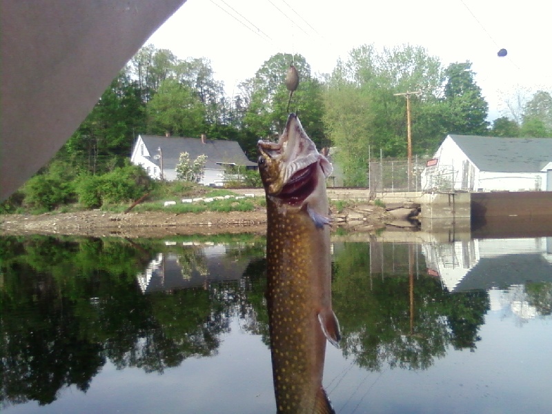 Happy Hour near Milford