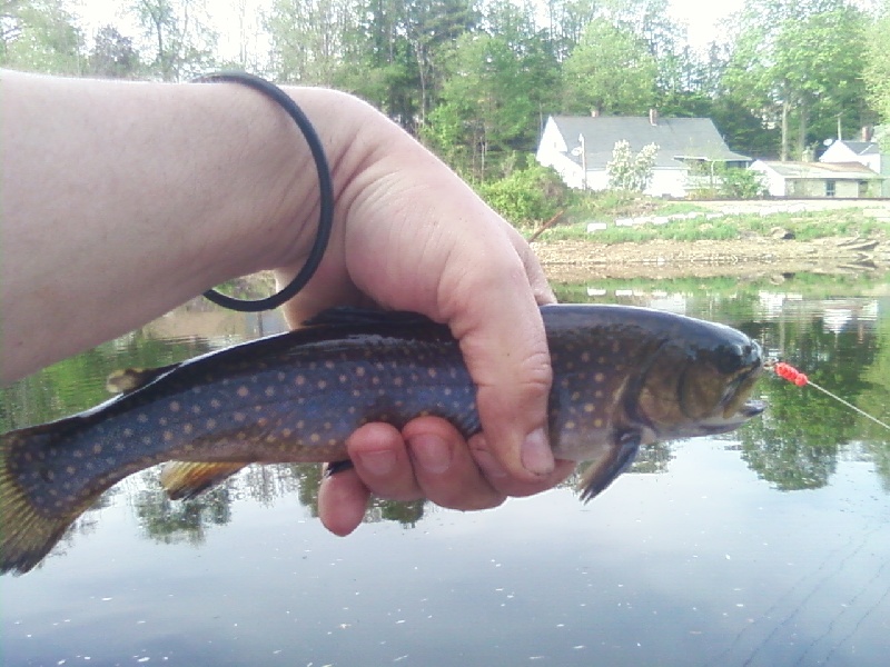 Happy Hour near Milford