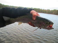 Designated Trout Ponds - Opening Day 2015