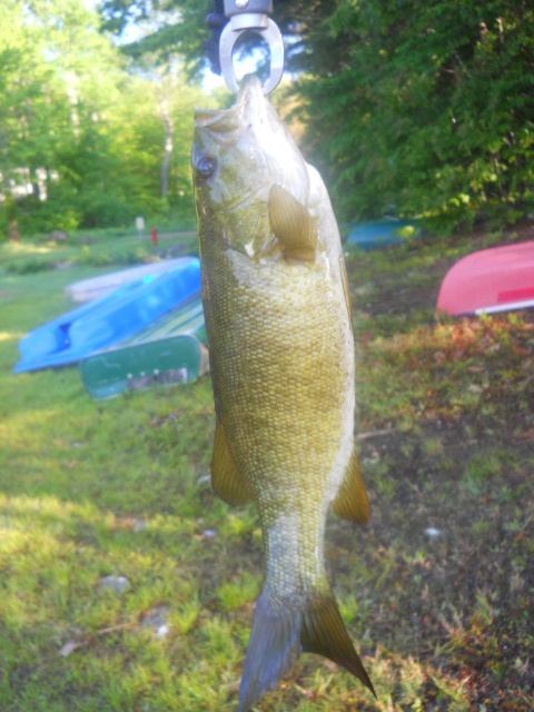 Fishing near Belmont in Belknap County, New Hampshire - NH Fish Finder