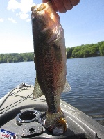 First Kayak Trip of 2014 Fishing Report