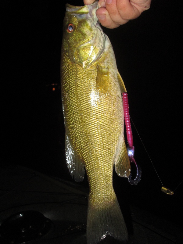 Evening Smallmouth near Ossipee