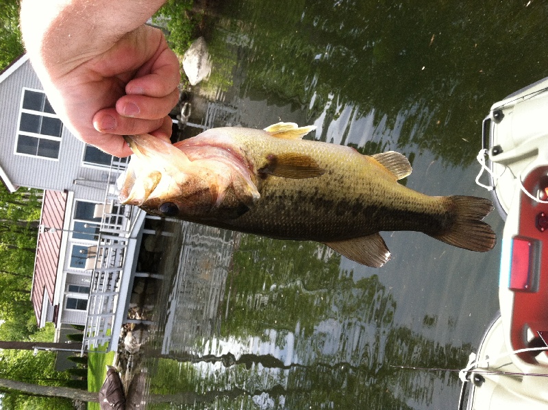 Canobie Lake Bass near Windham