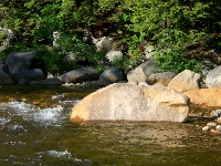 Trout on the Saco River NH Fishing Report