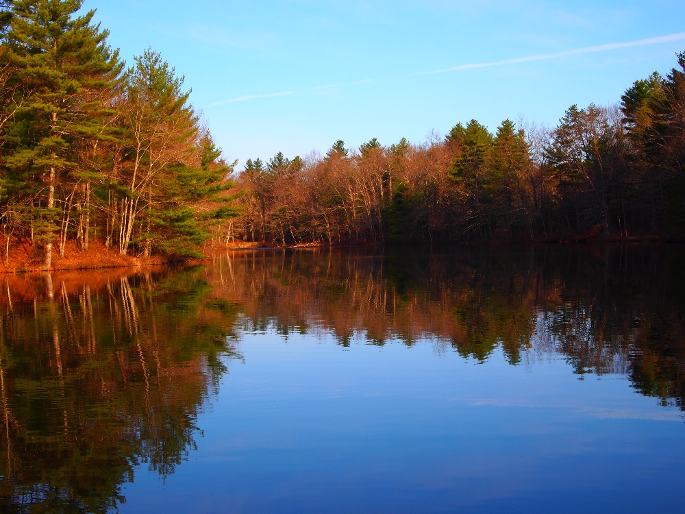 Ballards Pond near Derry