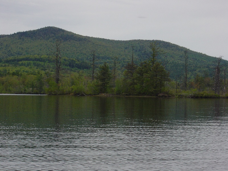 Not a bad pond near Chatham