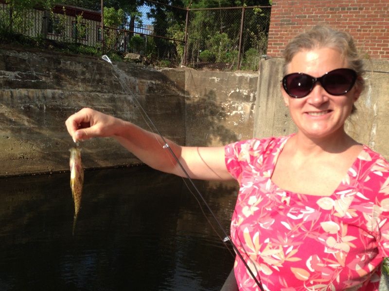 Blue Gill - Nashua River - By Margarita's near Nashua