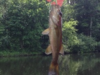 Mine Falls - Nashua, NH Fishing Report