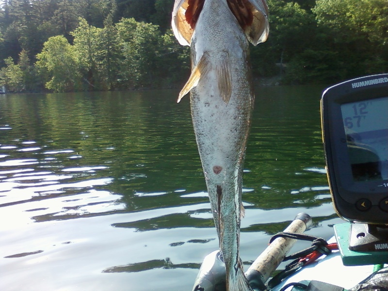 2nd favorite marker bouy