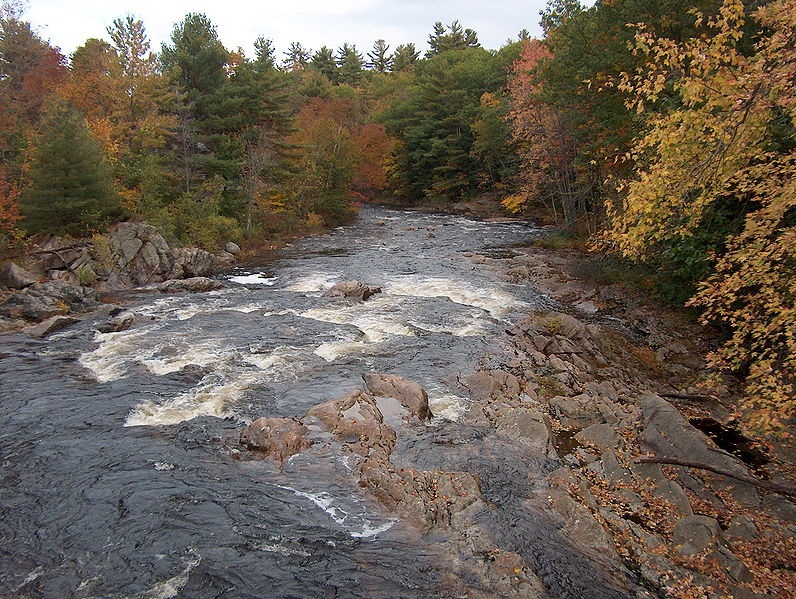 bearcamp river near Campton