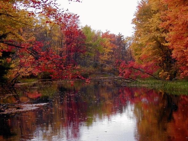 Goshen fishing photo 3